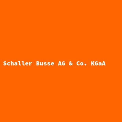Hersteller: Schaller Busse AG &amp; Co. KGaA