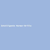 Intelligente Marmor-Brille