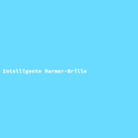 Intelligente Marmor-Brille
